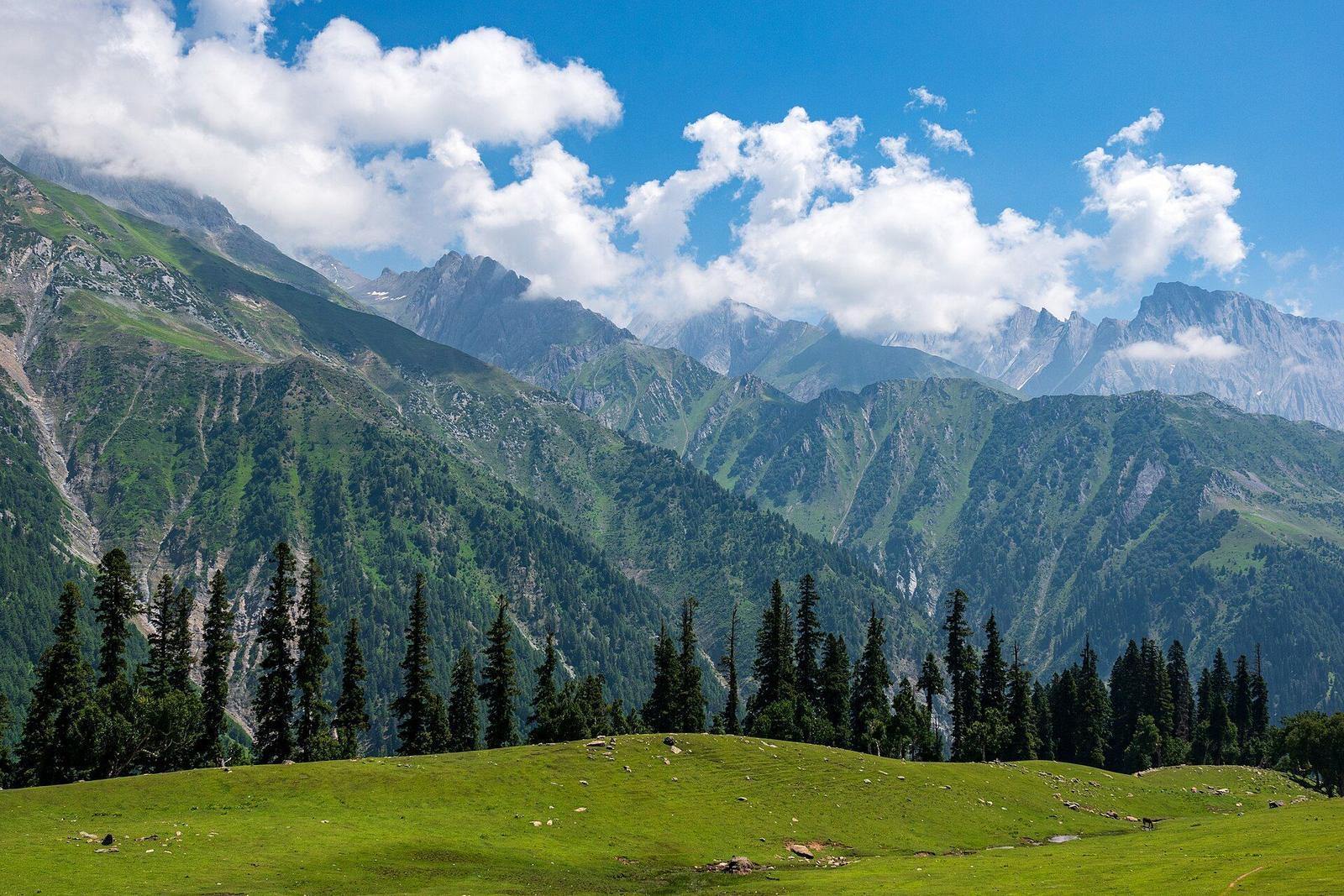 Kashmir – Mountain Meadow in Sonamarg, Kashmir, India