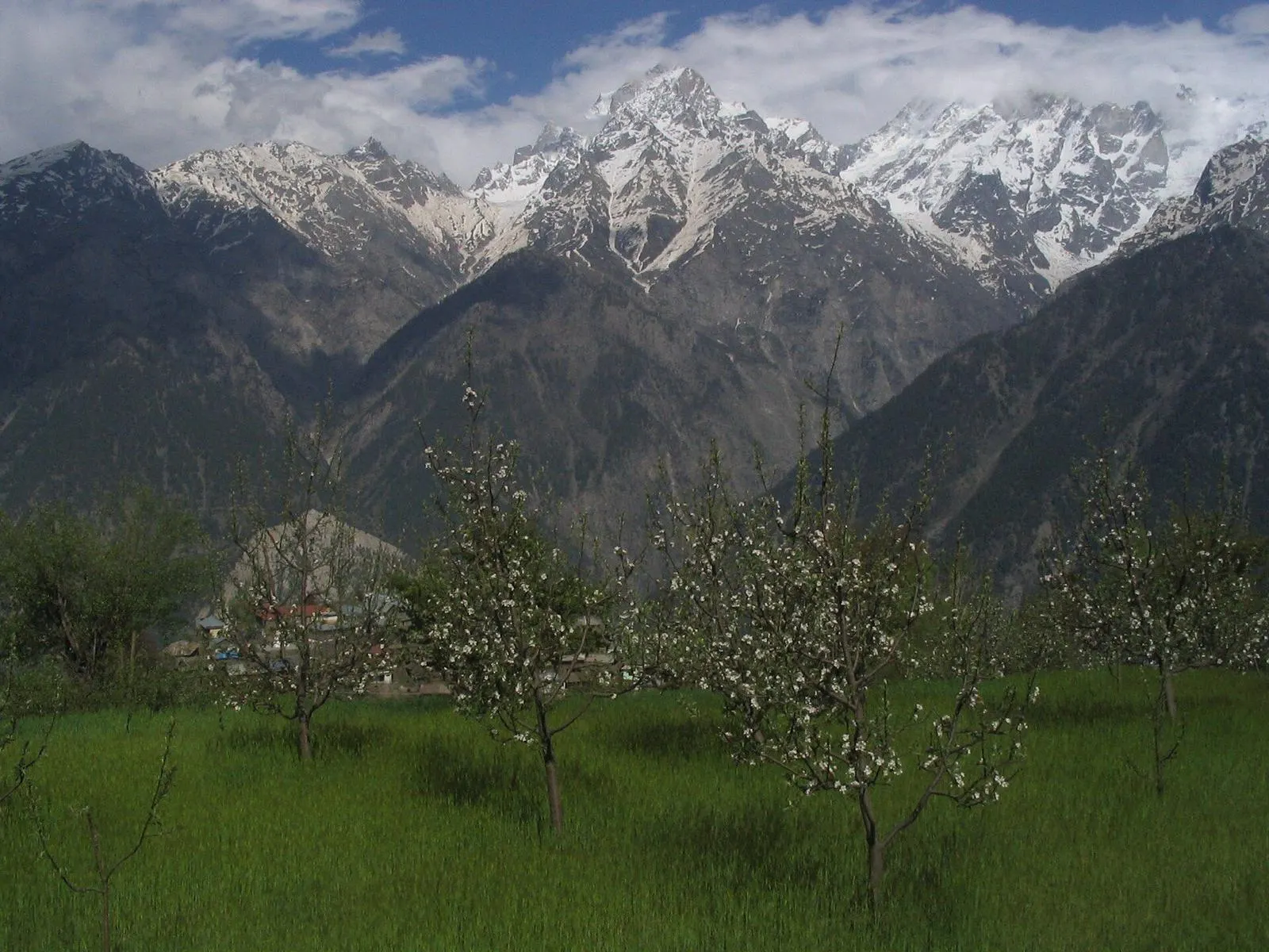 Kinnaur Kalpa – Kalpa Himachal