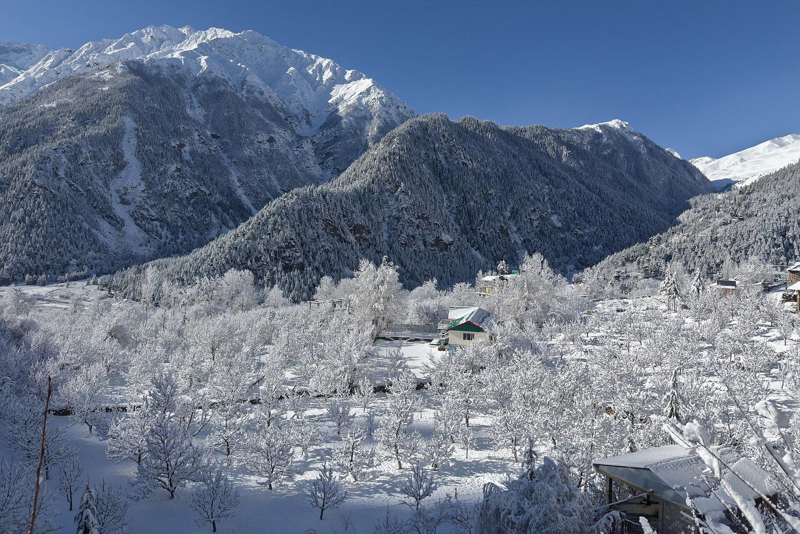 Kinnaur Kalpa – Orchards in snow, Sangla, Himachal Pradesh, India