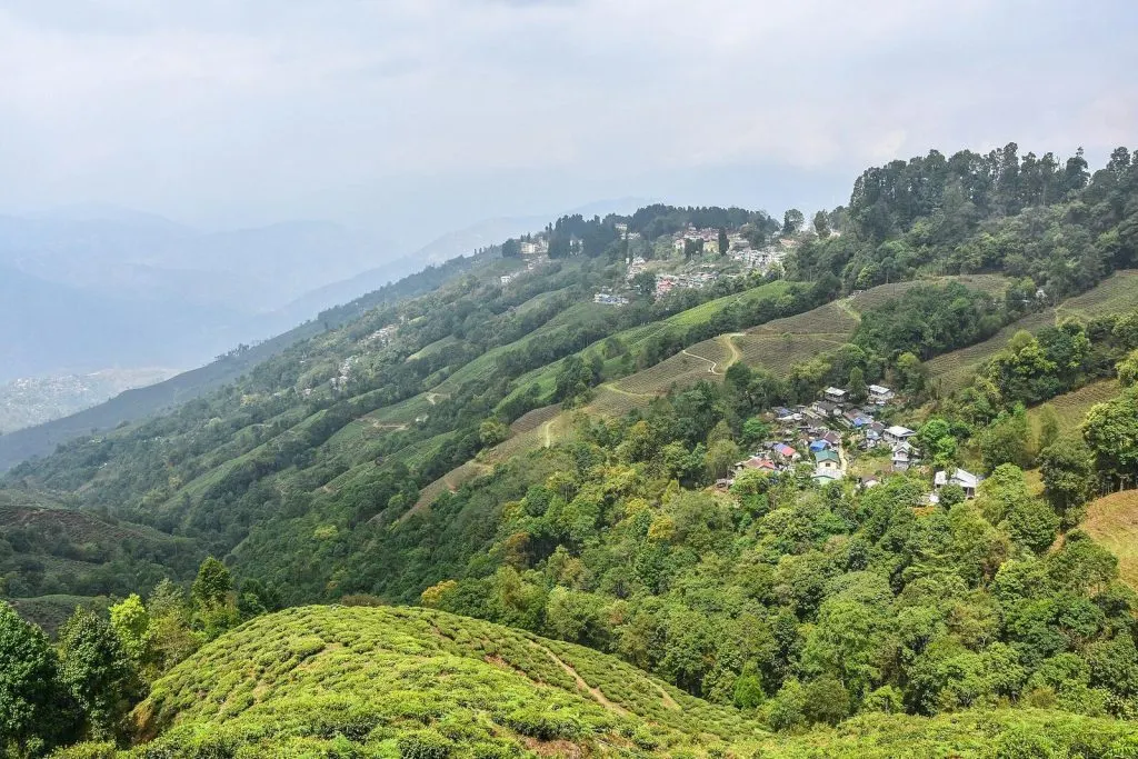 Rampuria Darjeeling – Landscape of Darjeeling,India