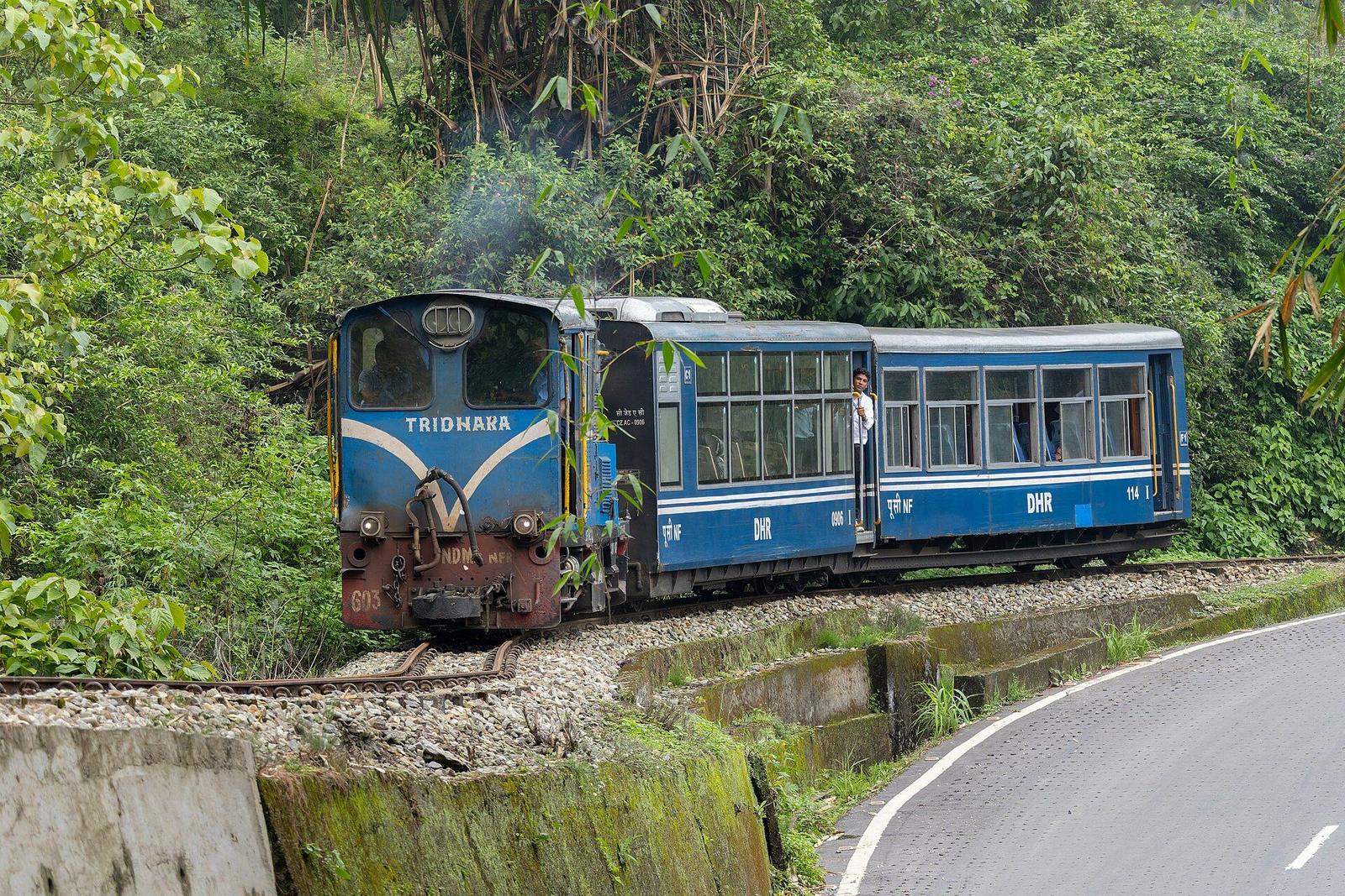 Rampuria Darjeeling – Toy Train by Paramanu Sarkar 01