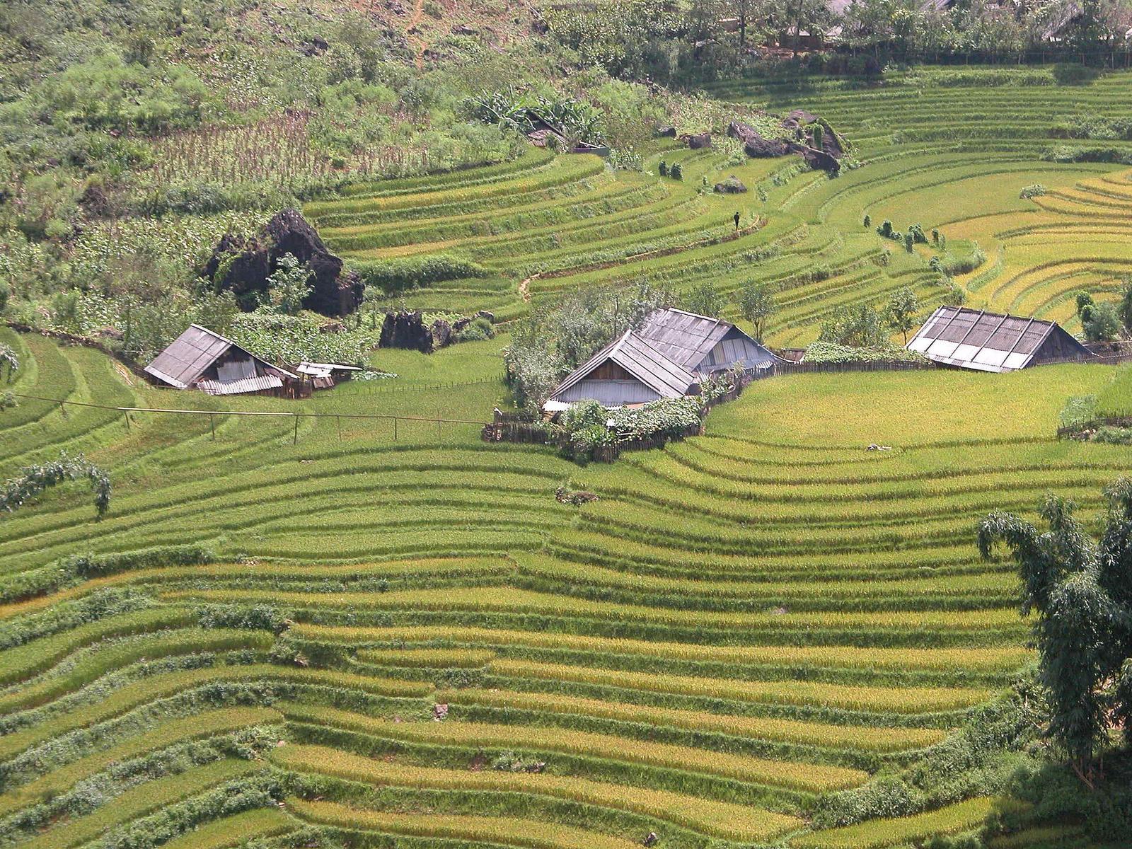 Vietnam – Vietnam Sapa 1