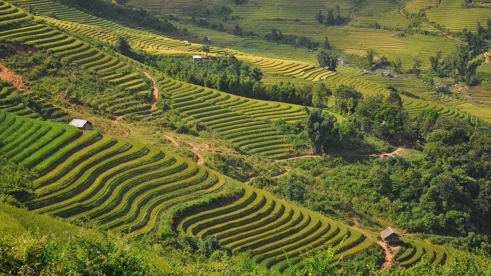 Vietnam – Sapa view 3